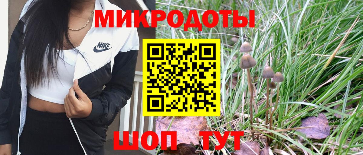 Псилоцибиновые грибы MAGIC MUSHROOMS Татарск