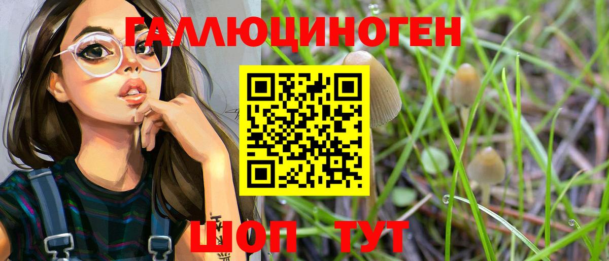 Татарск  наркотики  Псилоцибиновые грибы GOLDEN TEACHER  Вход с VPN  Галлюциногенные грибы прущие грибы 